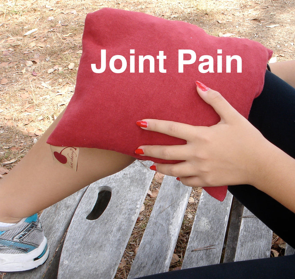 Double Square Pillow in Plush Red Ultra-Suede