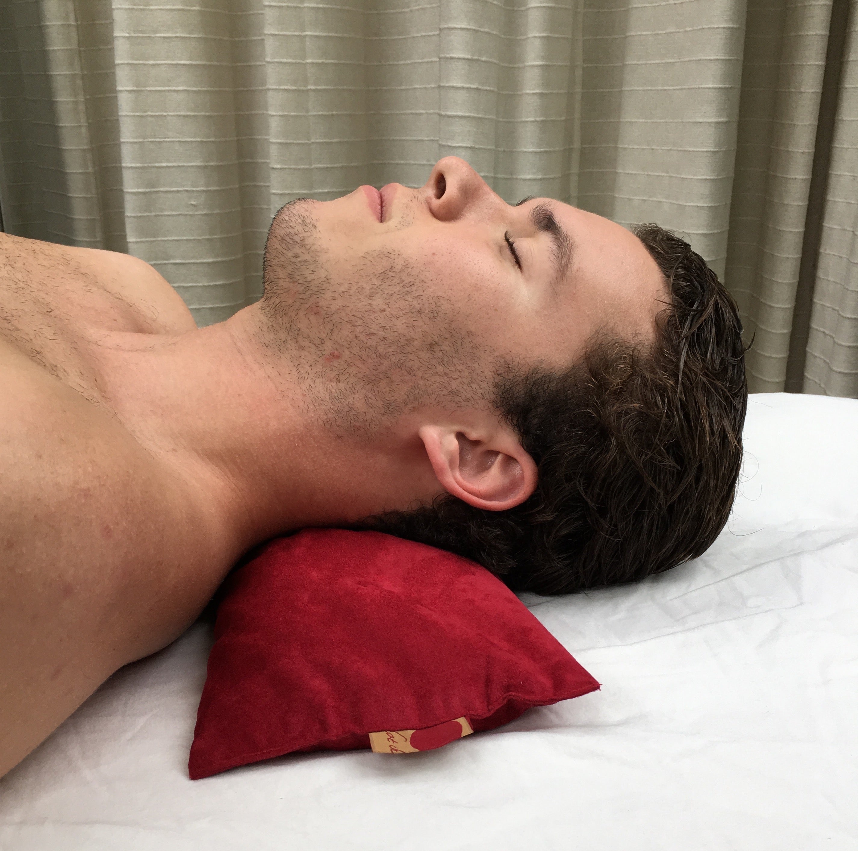 Rectangle/Cervical Pillow in Red Ultra-suede