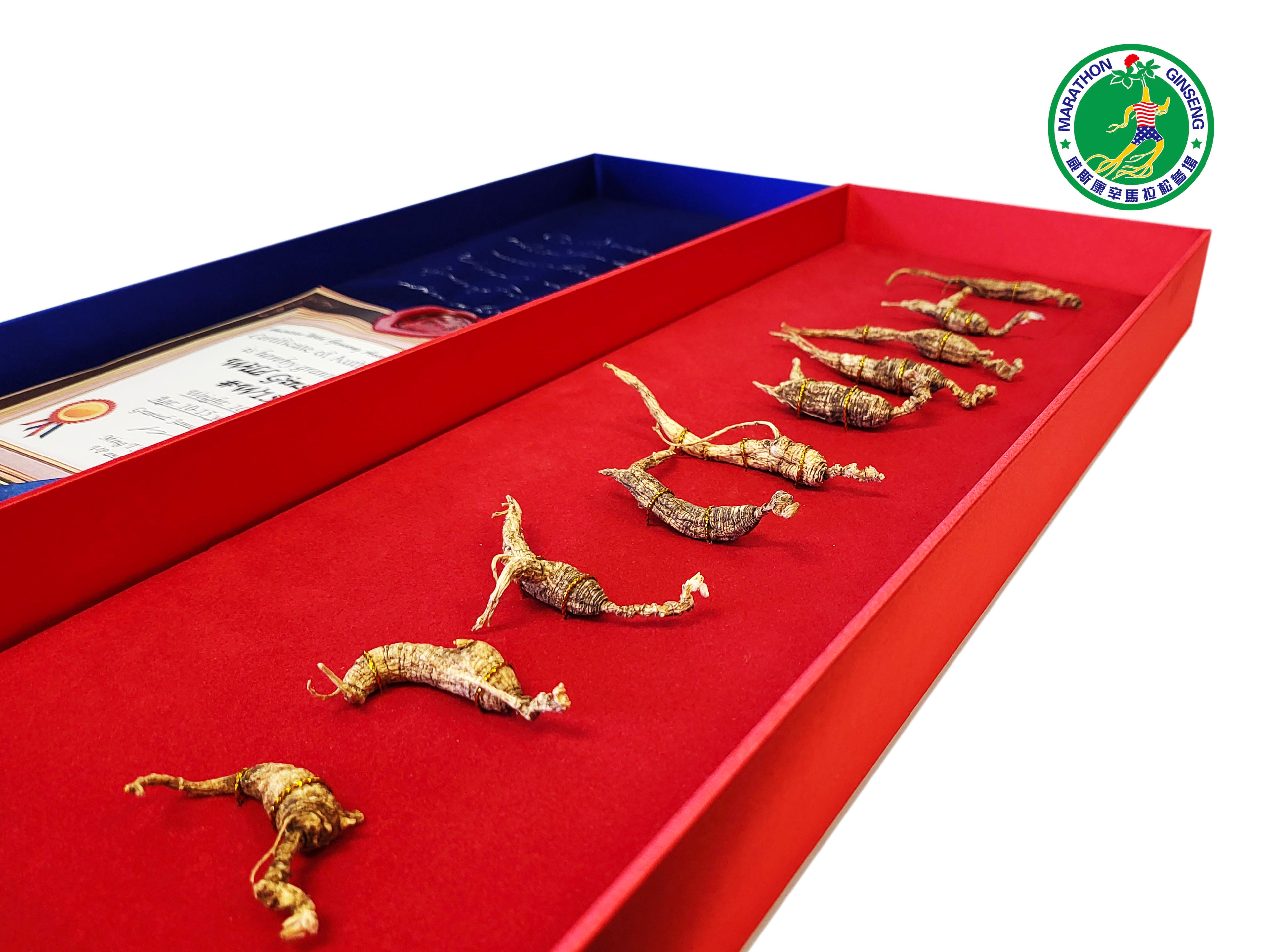 W15 - 10-15 Yr Wild Ginseng