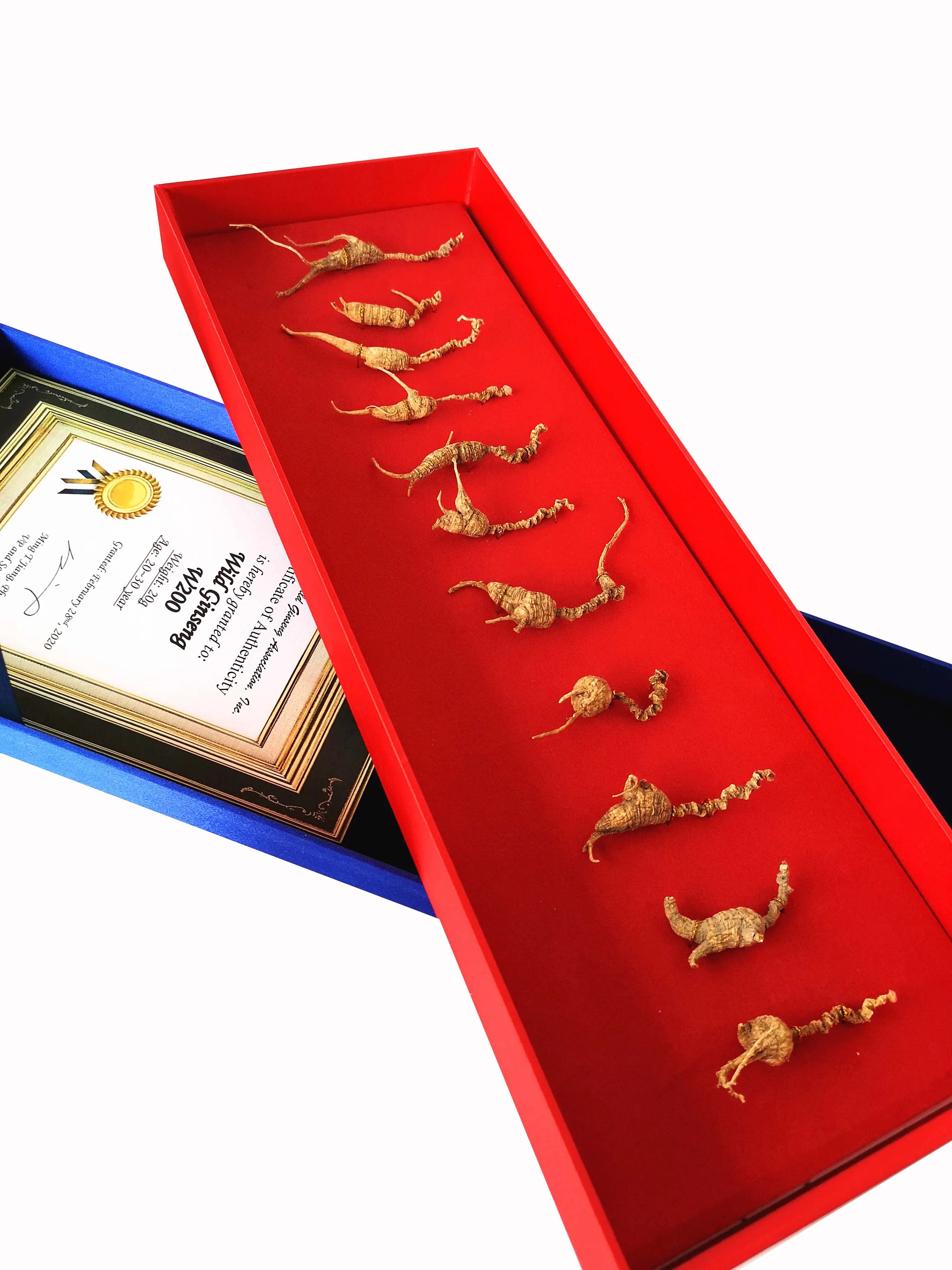 W30 - 20-30 Yr Wild Ginseng