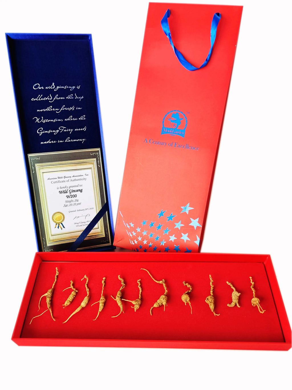 W30 - 20-30 Yr Wild Ginseng