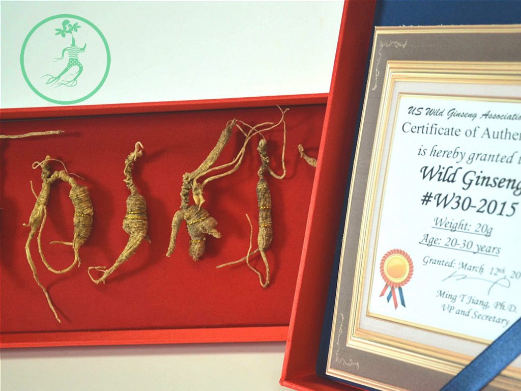 W30 - 20-30 Yr Wild Ginseng