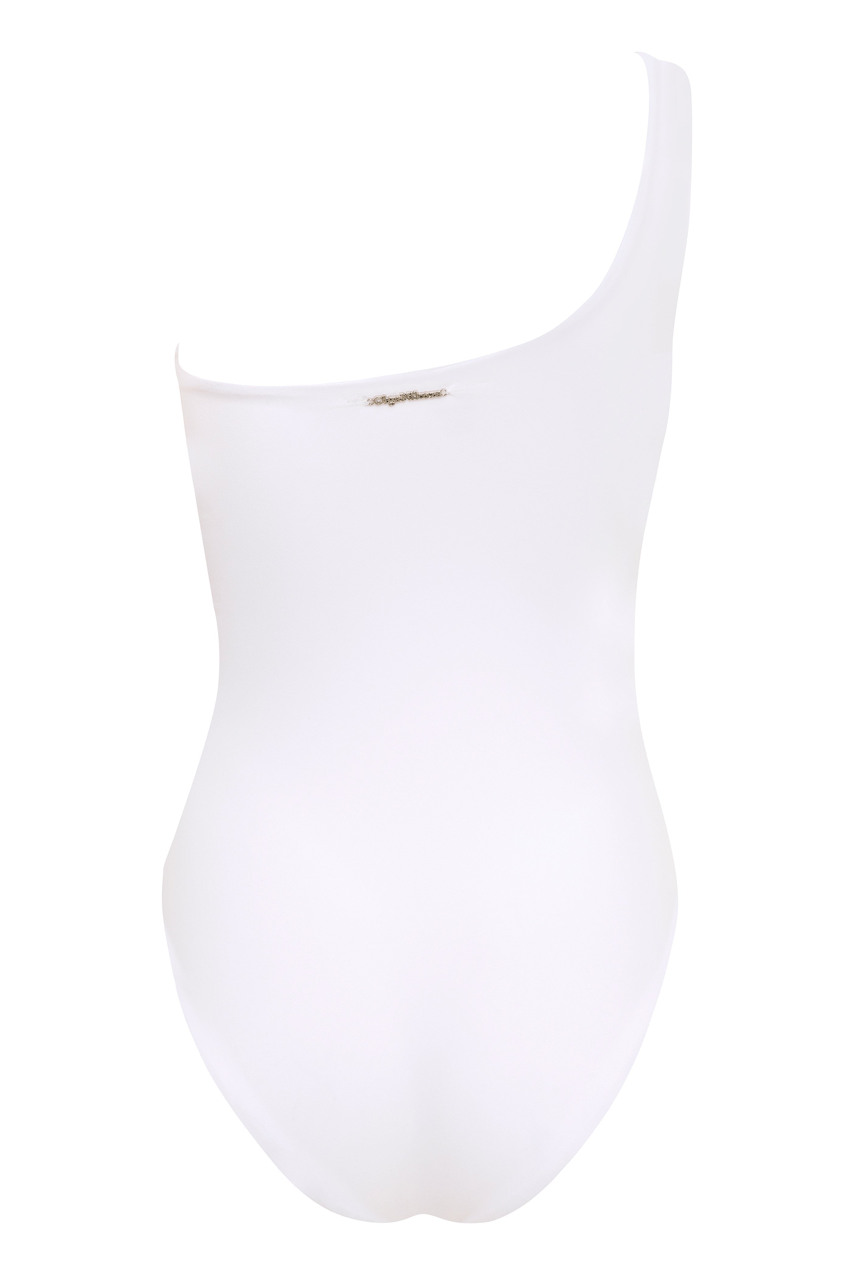Vanda - StripeOne Shoulder Style Swimsuit